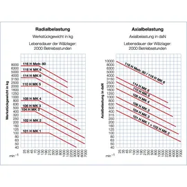 Röhm Mitlaufende Zentrierspitzen 60° MK 6 Größe 116