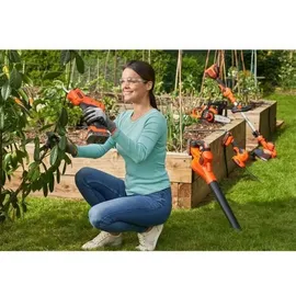 Black & Decker Akku-Gartenschere DEWALT DCMPP568P1-QW & Decker Sekator 18V 5.0Ah