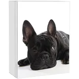 Banjado XXL Medizinschrank Abschliessbar 35x46x15cm Arzneischrank Weiß Aus Metall Mit Motiv Bulldogge