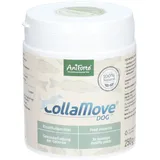 AniForte CollaMove Kollagen Pulver 250 g