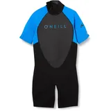 O'Neill Jungen Youth Reactor Ii 2 Mm Back Zip Spring Wetsuit, Ocean, Age 12 EU