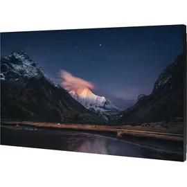 Samsung SMART Signage VM55C-R 55" schwarz
