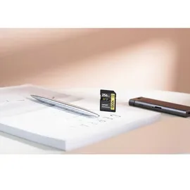 Lexar Professional SDXC Gold 128GB 1800x UHS-II V60 2er-Pack