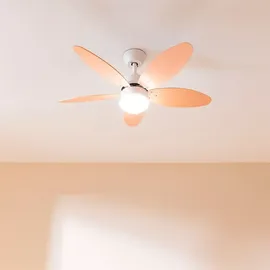 Cecotec EnergySilence Aero 4260 106 cm Deckenventilator Orange