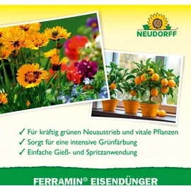 NEUDORFF Eisendünger 250 ml
