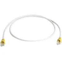 Telegärtner RJ45 (gekreuzt) Netzwerk Anschlusskabel CAT 6a S/FTP 10.00 m Grau Flammwidrig, mit Rastnasenschutz