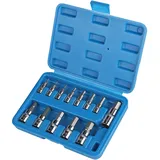 CPROSP 13-tlg Inbus Nuss Satz 1/2'',3/8'',1/4'' Innensechskant Nuss Satz, Inbus Nuss 2-14mm, Sechskant Steckschlüssel Set mit Kunststoffkoffer,Imbusnussen Satz 1/2 für Schlagschrauber