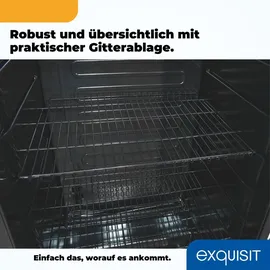 Exquisit GKS350-1-GT-280D Getränkekühlschrank (320 l, 1730 mm hoch, Schwarz)