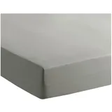 Traumschlaf Spannbettlaken Jersey-Elasthan 140 x 200 - 160 x 200 cm grau