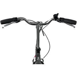 Llobe Pure 20 Zoll RH 43 cm schwarz