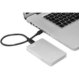 MediaRange MR996 1 TB USB 3.0 silber