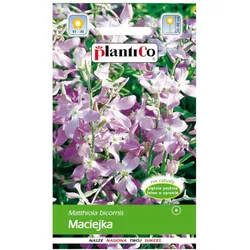 Maciejka 5g Blumensamen für den Garten