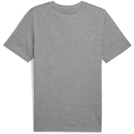 Puma Graphics 2 Color No. 1 Logo Tee grau M