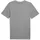 Puma Graphics 2 Color No. 1 Logo Tee grau M