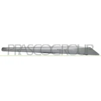PRASCO BM0281004