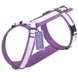 STUCH Geschirr Hund gepolstert lila XXS