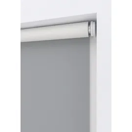 MY HOME Springrollo Tia 60 x 190 cm grau