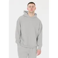 Virtus Kapuzensweatshirt Kayce grau|violett XL