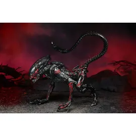 NECA Aliens Actionfigur Night Cougar Alien Kenner Tribute) 23 cm