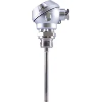 Jumo Thermoelement 00407109