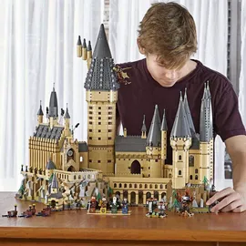 LEGO Harry Potter Schloss Hogwarts 71043