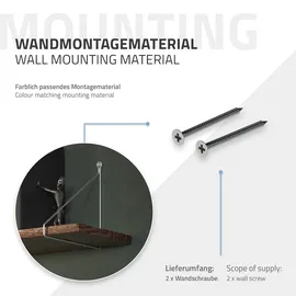 ML-Design Regalhalterung 2er Set 250 mm Silber, Metall, Dreieckige Regalwinkel, Schwebe-Wandhalterung, Regalträger Wandregal Wandkonsole Hängeregal