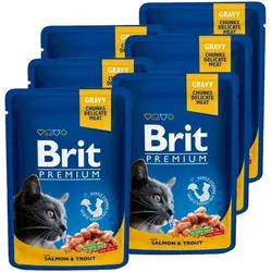 BRIT Cat  Lachs und Forelle 6x100g