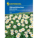 Kiepenkerl Gänseblümchen Bellis perennis