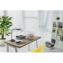 CEP Aufbewahrungsbox combi-box 18l transparent/grau