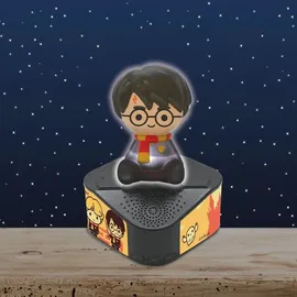 Lexibook Harry Potter braun