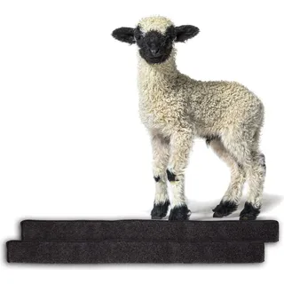 BigDean 2x Zugluftstopper für Fenster 150cm - 100% Schurwolle - Anthrazit - Luftzugstopper Durchzugstopper Windstopper - Made in Germany