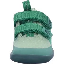 Affenzahn Barfußschuh Lucky Frosch Grün 25