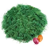 COM-FOUR® 250g Ostergras in grün für Osternester - Osterdeko zum Basteln - Holzwolle für Osterkörbe (Set1 - Ostergras grün - 250g)