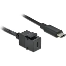 DeLock USB-C auf USB-C 25 m Schwarz