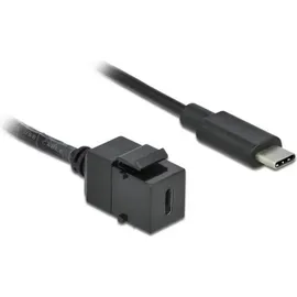 DeLock USB-C auf USB-C 25 m Schwarz