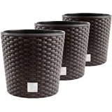 Rattan-Optik Pflanzkübel Set - 3x Ø30cm, Kunststoff, Umbra, mit Einsatz
