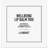 L:A Bruket Lip Care Set 3 x 14 g