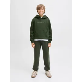 JACK & JONES JUNIOR Jjestar JJ SWEAT HOOD NOOS Jnr - 140