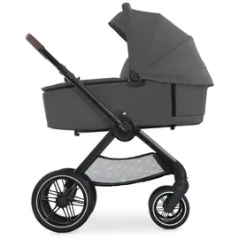 hauck Walk N Care dark grey