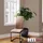 Hti-Living Schwingstuhl SallyP Kunstleder braun 4er Set
