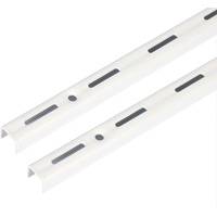 Toolerando Wandschiene für Regalträger, 1-reihig, pulverbeschichteter Stahl, Rasterabstand 50 mm, 2 Stück, Länge 150 cm, Weiß
