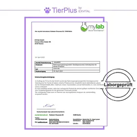 Exvital TierPlus Gelenkpulver für Hunde & Katzen mit Grünlippmuschel, MSM, Kollagen 200 g