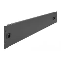 Delock Network Cabinet Blind Cover - Rack-Blindabdeckungsplatte - Schwarz - 2U -