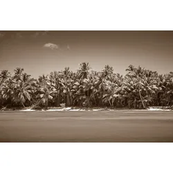 Fototapete PAPERMOON "PALMEN-SCHWARZ WEIßWANDBILD PALME NATUR BÄUME MEER SEE", bunt, B:3,00m L:2,23m, Vlies, Tapeten