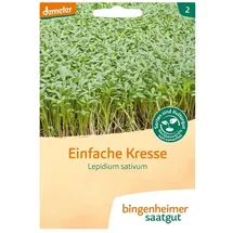 Bingenheimer Saatgut Kresse Einfache demeter