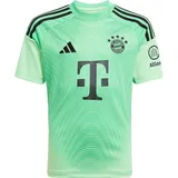 adidas FC Bayern München Torwarttrikot 2025/26 Kinder Gr. 152 Grün