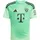 adidas FC Bayern München Torwarttrikot 2025/26 Kinder Gr. 152 Grün