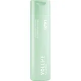 GLYNT VOLUME Shampoo 250ml