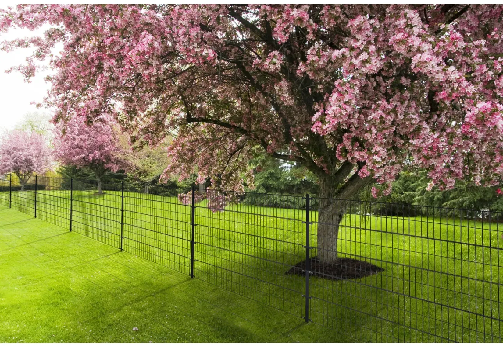 Doppelstabmattenzaun MORATA - Grün Variantenauswahl