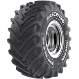 ASCENSO 800/65 R32 181A HRR200